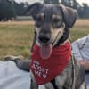 Kaji - sucht seine Menschen 🐕