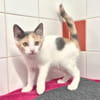 BIANCA (réservée)