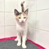 BIANCA (réservée)