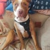 TYR (Hogar de paz)