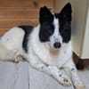 HERA ist das ideale Familienmitglied
