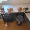 Kleiner Olaf sucht Dich