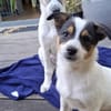 Kleine Niya sucht ihre Menschen