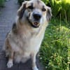 Neele ist so offen, fröhlich + so lieb!