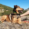 Louba