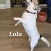 LOLA