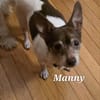 MANNY