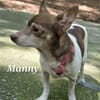 MANNY