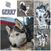GERRY * menschenbezogen & selbstbewusst