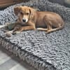Jette sucht ihre Familie
