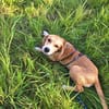 Jette sucht ihre Familie