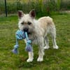 NETTI -kleine Strahlemaus-