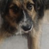 Lucy braucht ihre Menschen