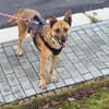 LUCY die freundlichewartet im Vogtland