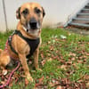 LUCY die freundlichewartet im Vogtland