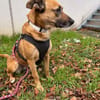 LUCY die freundlichewartet im Vogtland
