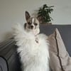 Eco sucht sein Zuhause