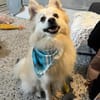 Lio sucht seine Familie