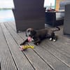 🐾 SABINE HAT ES ENDLICH GESCHAFFT 🐾