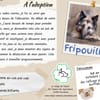 Fripouille