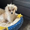 CINDY ist ein kleiner Sonnenschein