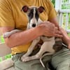 FLOPPI sucht sein großes Glück