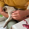 FLOPPI sucht sein großes Glück