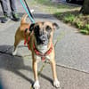 Die aktive Nelly wartet auf einer Ps in 44141 Dortmund !