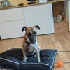 Die aktive Nelly wartet auf einer Ps in 44141 Dortmund !