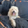 TOSHI braucht Liebe und etwas Geduld