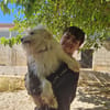 TOSHI braucht Liebe und etwas Geduld
