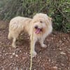 TOSHI braucht Liebe und etwas Geduld