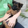 Benio - kleiner Mann sucht sein Zuhause