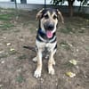 BALOO