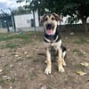 BALOO