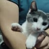 BEERUS