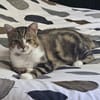 JACK