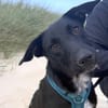 Bella wartet auf ihre zweite Chance