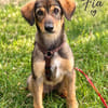 Fia sucht ihre Familie