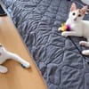 Mogli : Kleiner Schnurrphilosoph sucht dich