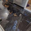 Kleine Antonela sucht ihr liebevolles Zuhause