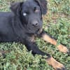 Kleiner Marco sucht seine Familie