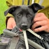 Rakete Xaver kann auch kuscheln