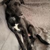 Rakete Xaver kann auch kuscheln