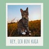 Kaia möchte kuscheln