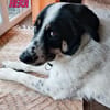 Hera, 09/23 - in 86529 Schrobenhausen