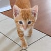CHARLIE