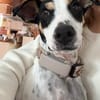 Fido - einfach ein ziemlich cooler Kerl