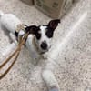Fido - einfach ein ziemlich cooler Kerl