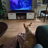 Zoe wartet in Köln auf ihre Menschen